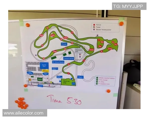 奥运资格赛形势分析