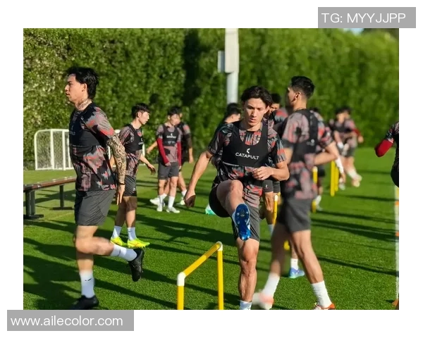 主教练战术板细节意外曝光 球队备战画面震撼引发网友热议